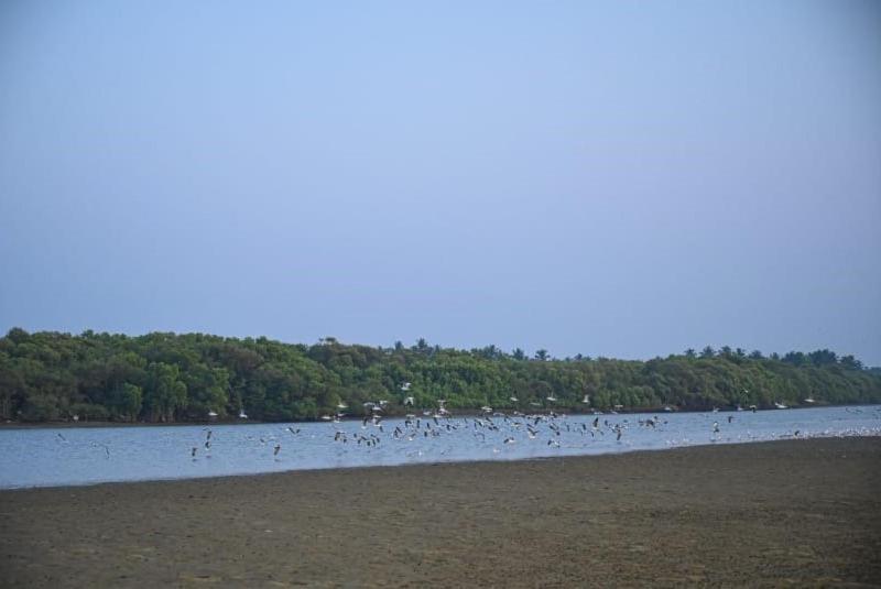Reunion Ocean Tides Hotel Udupi Kültér fotó